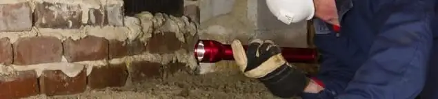 Pest control technician inspecting a crawl space for ant activity and entry points in Naperville, IL