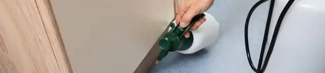 Bed bug exterminator treating baseboards and cracks with targeted spray in Naperville, IL