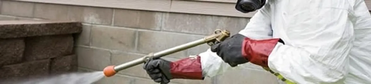Pest control technician applying exterior insect treatment along a home foundation in Naperville, IL