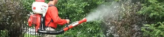 Mosquito control technician fogging shrubs and landscaping for mosquito treatment in Naperville, IL