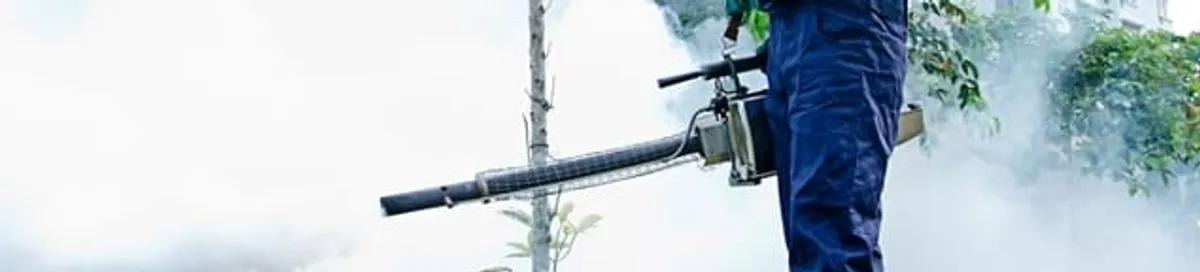 Pest control technician fogging an outdoor area for insect control in Naperville, IL