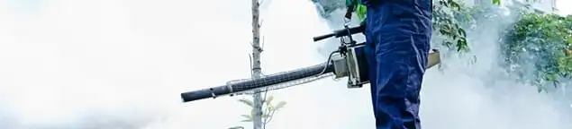 Pest control technician fogging an outdoor area for insect control in Naperville, IL