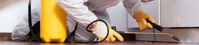 Roach exterminator treating cracks and crevices along kitchen baseboards in Naperville, IL