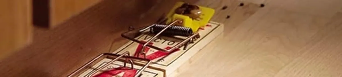 Rodent trap set indoors for rodent control and prevention in Naperville, IL