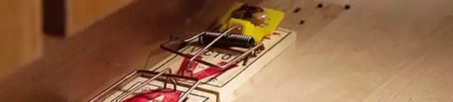 Rodent trap set indoors for rodent control and prevention in Naperville, IL