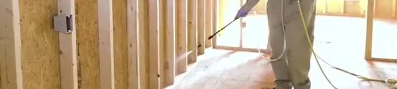 Termite treatment technician applying spray along framing and unfinished walls in Naperville, IL
