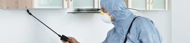 Termite treatment technician applying indoor pest control spray in Naperville, IL