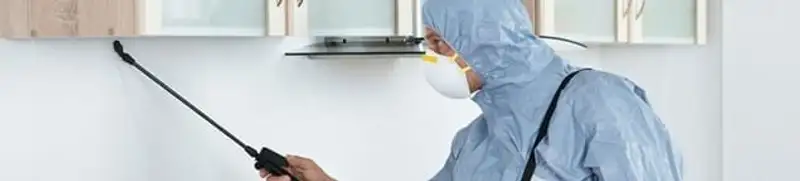 Termite treatment technician applying indoor pest control spray in Naperville, IL